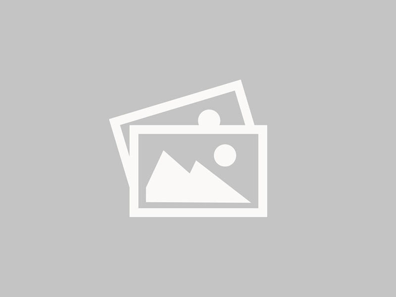 Document Download